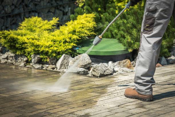 Best Fence Cleaning  in Albert Lea, MN