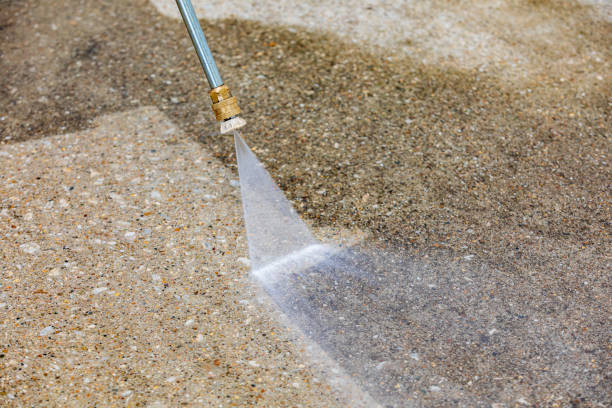 Best Driveway Pressure Washing  in Albert Lea, MN