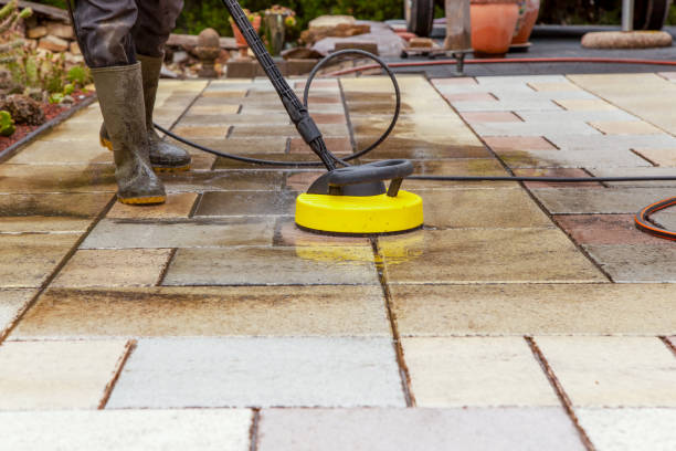 Best Restaurant Pressure Washing  in Albert Lea, MN