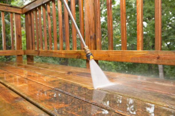 Best Building Exterior Washing  in Albert Lea, MN